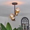 Chehalis Ceiling Light - glass 10 cm, 12cm Amber, Smoke-coloured, 4-light sources