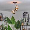 Chehalis Ceiling Light - glass 10 cm, 12cm Amber, Smoke-coloured, 4-light sources
