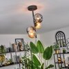 Chehalis Ceiling Light - glass 10 cm, 12cm Amber, Smoke-coloured, 4-light sources