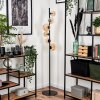 Remaisnil Floor Lamp - glass 10 cm, 12 cm, 15 cm Amber, 6-light sources