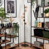 Remaisnil Floor Lamp - glass 10 cm, 12 cm Amber, 6-light sources