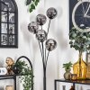 Gastor Floor Lamp - glass 15 cm Smoke-coloured, 5-light sources