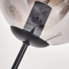 Gastor Floor Lamp - glass 15 cm Smoke-coloured, 3-light sources