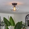 Apedo Ceiling Light - glass 20 cm clear, 1-light source