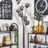 Gastor Floor Lamp - glass 15 cm Smoke-coloured, 6-light sources