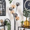 Gastor Floor Lamp - glass 15 cm Amber, Smoke-coloured, 6-light sources