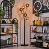Gastor Floor Lamp - glass 15 cm Amber, Smoke-coloured, 6-light sources