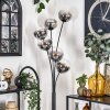 Gastor Floor Lamp - glass 15 cm clear, Smoke-coloured, 6-light sources