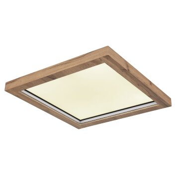 Globo BRANZA Ceiling Light LED black, 1-light source, Remote control