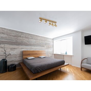 Globo ROBBY Ceiling Light gold, 5-light sources