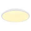 Globo XANDER Ceiling Light LED white, 1-light source