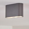 Dalarna Ceiling Light LED grey, silver, 1-light source
