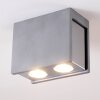 Braslo Ceiling Light chrome, grey, 2-light sources