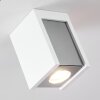 Braslo Ceiling Light chrome, white, 1-light source