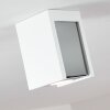 Braslo Ceiling Light chrome, white, 1-light source