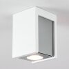 Braslo Ceiling Light chrome, white, 1-light source