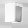 Braslo Ceiling Light grey, white, 1-light source