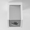 Braslo Ceiling Light grey, white, 1-light source