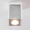 Braslo Ceiling Light grey, white, 1-light source