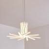 Bangor Pendant Light LED white, 1-light source