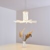 Bangor Pendant Light LED white, 1-light source