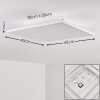 Barasat Ceiling Light LED white, 1-light source