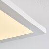 Barasat Ceiling Light LED white, 1-light source