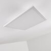 Barasat Ceiling Light LED white, 1-light source