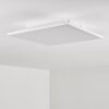 Barasat Ceiling Light LED white, 1-light source