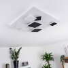 Minichu Ceiling Light LED white, 1-light source, Remote control