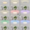 HAUMONIA Ceiling Light LED white, 2-light sources, Remote control, Colour changer