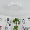 HAUMONIA Ceiling Light LED white, 2-light sources, Remote control, Colour changer