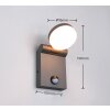 Trio ADOUR Wall Light LED anthracite, 1-light source, Motion sensor