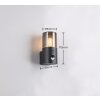 Trio HOOSIC Wall Light black, 1-light source, Motion sensor