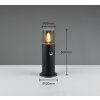 Trio HOOSIC outdoor floor lamp black, 1-light source, Motion sensor