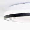 Brilliant Cloe Ceiling Light LED white, 1-light source, Remote control