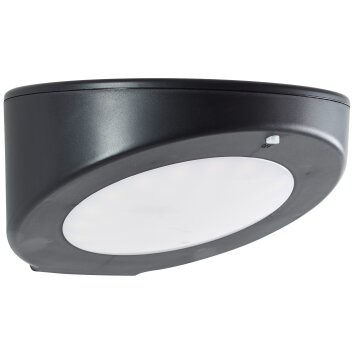 Brilliant Bardum Wall Light LED black, 1-light source, Motion sensor
