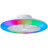 Brilliant Salerno Ceiling Light LED white, 1-light source, Remote control
