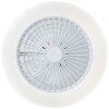 Brilliant Salerno Ceiling Light LED white, 1-light source, Remote control