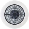 Brilliant Salerno Ceiling Light LED black, 1-light source, Remote control