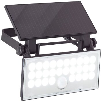 Brilliant Luton Outdoor Wall Light LED black, 1-light source, Motion sensor