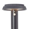 Brilliant Alvero outdoor floor lamp LED black, 1-light source, Motion sensor