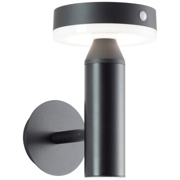 Brilliant Magua Outdoor Wall Light LED black, 1-light source