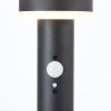 Brilliant Garvina outdoor floor lamp LED black, 1-light source, Motion sensor