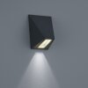 Helestra Trim outdoor wall light LED black, 1-light source