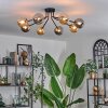 Chehalis Ceiling Light - glass 12 cm gold, black, 8-light sources