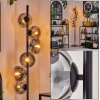 Gastor Floor Lamp - glass 15 cm clear, Smoke-coloured, 6-light sources