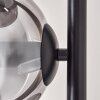 Gastor Floor Lamp - glass 15 cm clear, Smoke-coloured, 6-light sources
