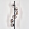 Gastor Floor Lamp - glass 15 cm clear, Smoke-coloured, 6-light sources