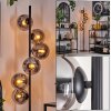 Gastor Floor Lamp - glass 15 cm Smoke-coloured, 6-light sources